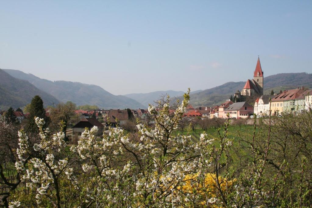 Donauhof - Hotel Garni Weissenkirchen in der Wachau Eksteriør bilde